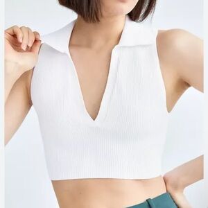 ARITZIA BABATON | Sculpt Knit Polo Top